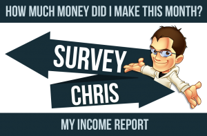 income-report-screenshot